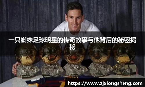 一只蜘蛛足球明星的传奇故事与他背后的秘密揭秘